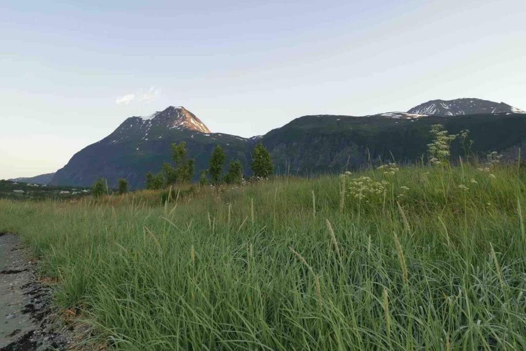 Villa In The Heart Of The Lyngen Alps, Holmen I Lyngen Lyngseidet Exterior foto